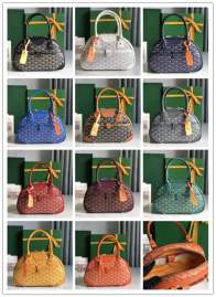 Picture of Goyard Handbags _SKUfw232191673fw